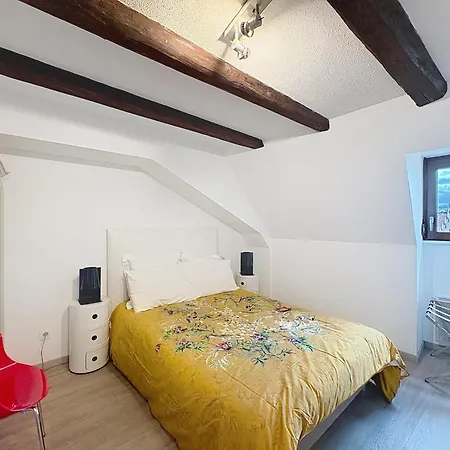 Appartamento A L'ill - & Hyper Centre Strasburgo