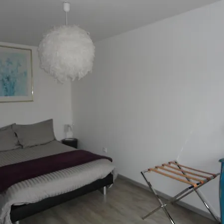 Appartamento A L'ill - & Hyper Centre Strasburgo