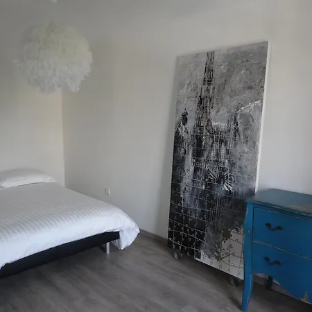 Appartamento A L'ill - & Hyper Centre Strasburgo