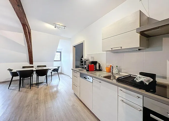 A L'ill - & Hyper Centre Apartment Strasbourg