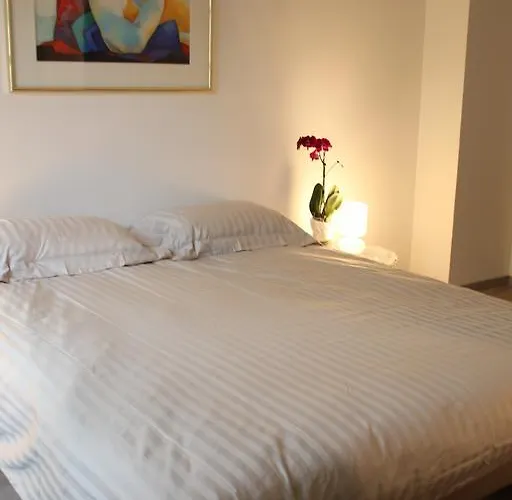 A L'ill - & Hyper Centre Apartment *