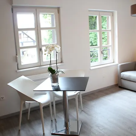 A L'ill - & Hyper Centre Apartment Strasbourg