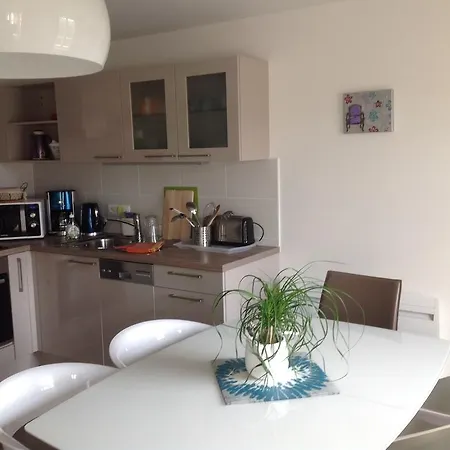Apartment A L'ill - & Hyper Centre Strasbourg