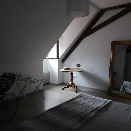 A L'ill - & Hyper Centre Apartment