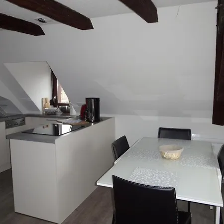 Apartment A L'ill - & Hyper Centre Strasbourg